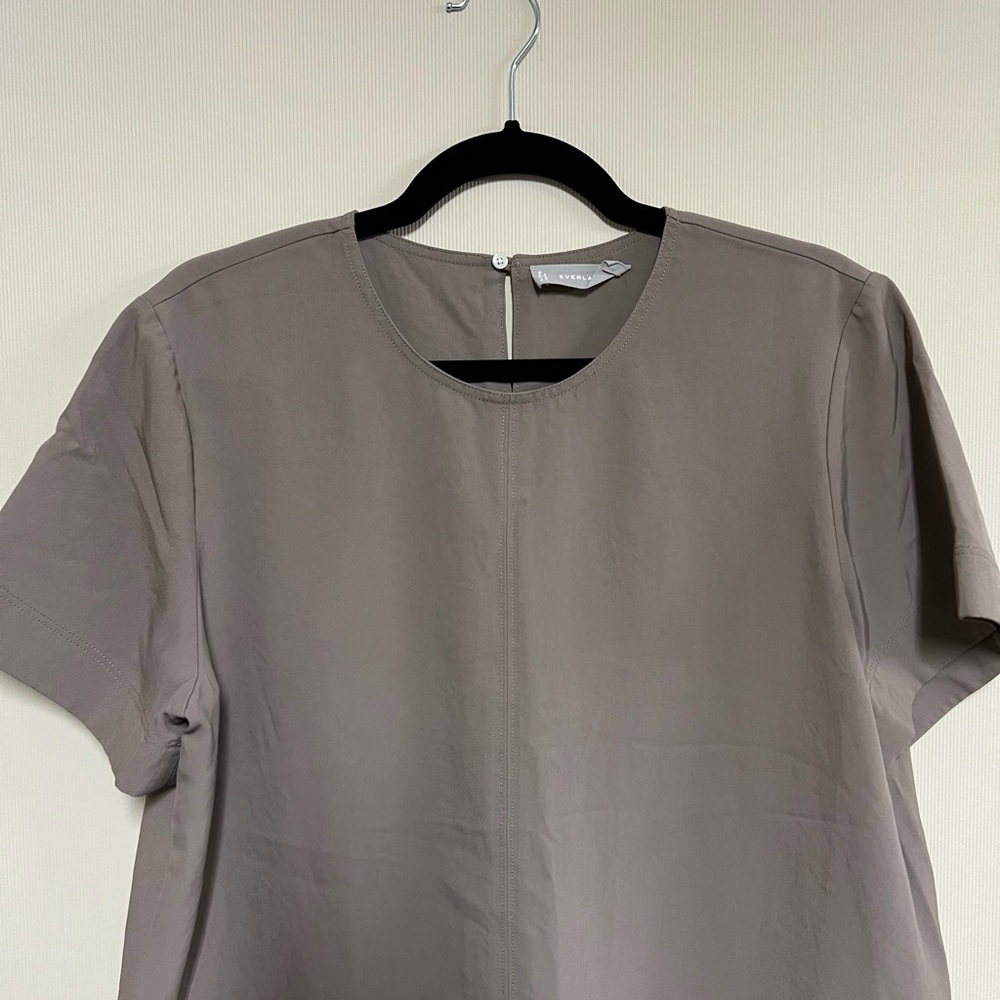 Everlane Japanese GoWeave Taupe Swing Tee